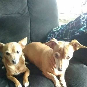 Meet your Posher, Gayle